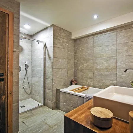 Chalet Renove Avec Sauna, Salle De Sport Et Navette Gratuite - Fr-1-613b-50